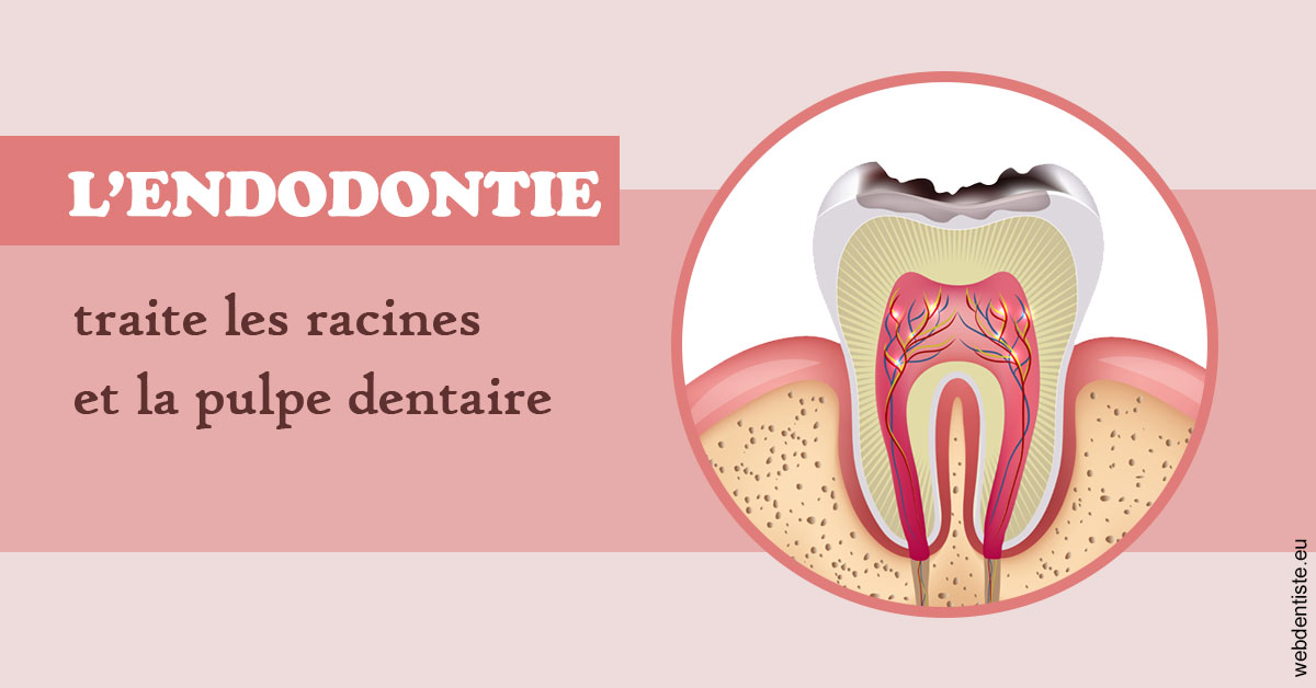 https://dr-leroy-sophie.chirurgiens-dentistes.fr/L'endodontie 2