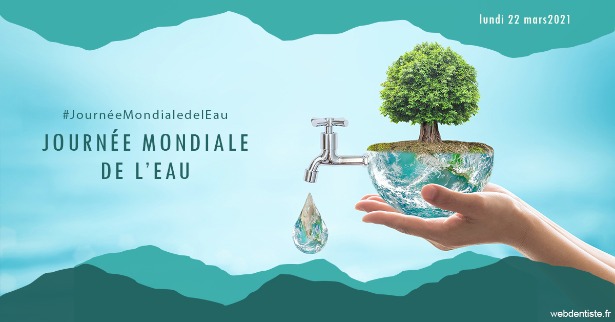 https://dr-leroy-sophie.chirurgiens-dentistes.fr/Journée de l'eau 1